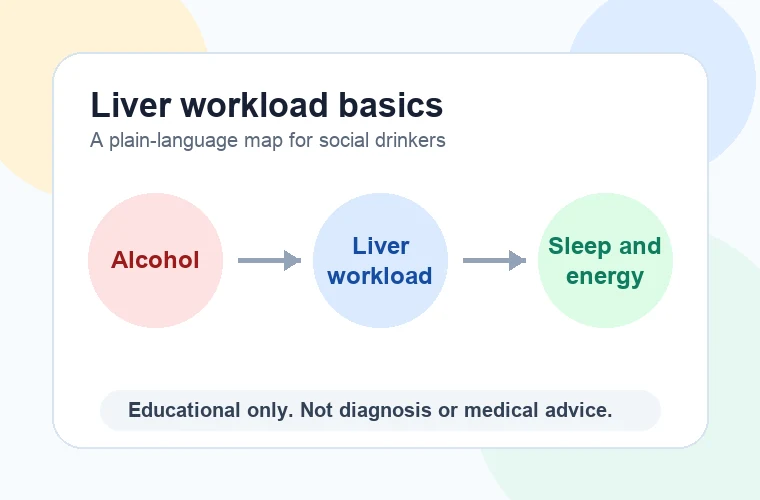Simple educational diagram showing alcohol, liver workload, and sleep and energy